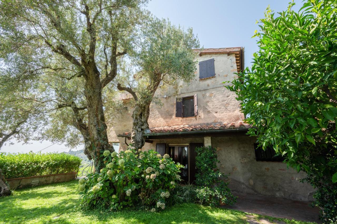 Villa Eden Forte Dei Marmi With Private Infinity Pool Санта-Лучия Экстерьер фото