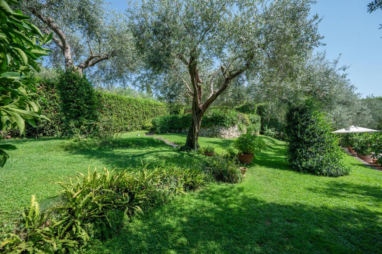 Villa Eden Forte Dei Marmi With Private Infinity Pool Санта-Лучия Экстерьер фото