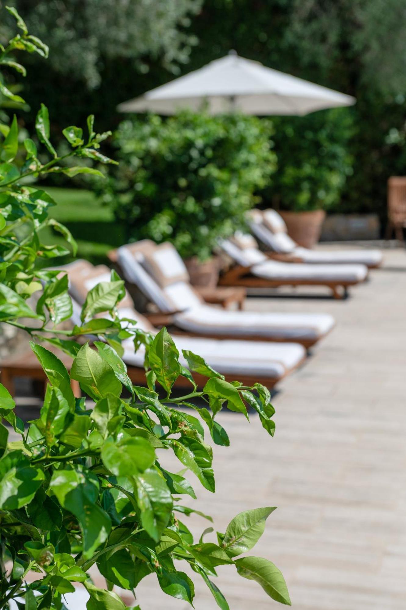 Villa Eden Forte Dei Marmi With Private Infinity Pool Санта-Лучия Экстерьер фото