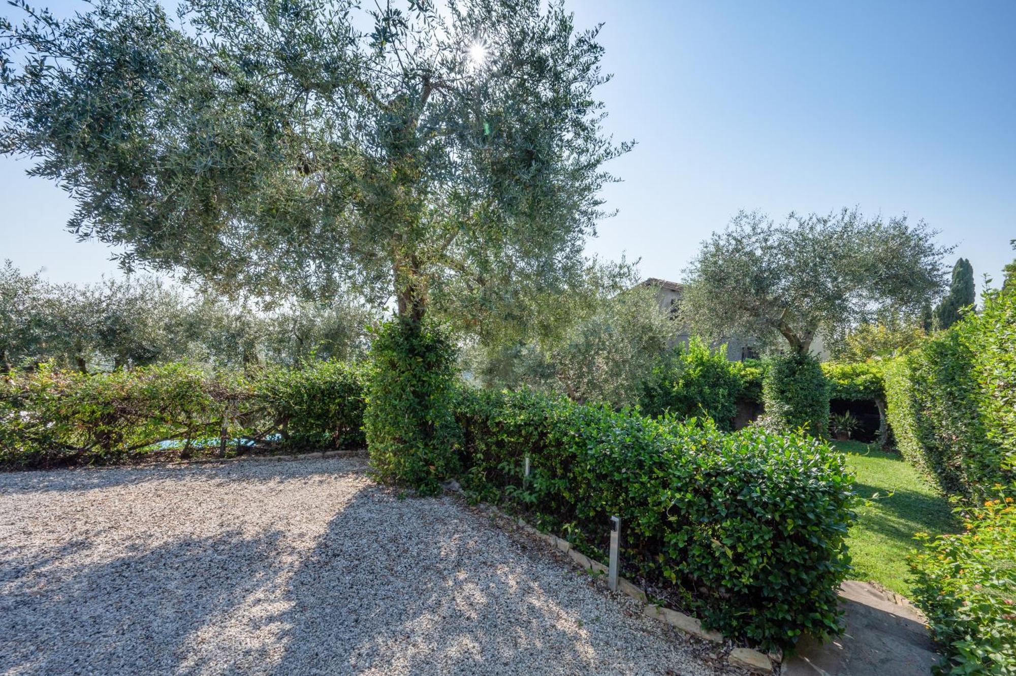 Villa Eden Forte Dei Marmi With Private Infinity Pool Санта-Лучия Экстерьер фото